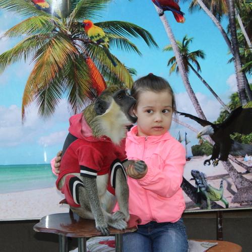 Photo #4139049