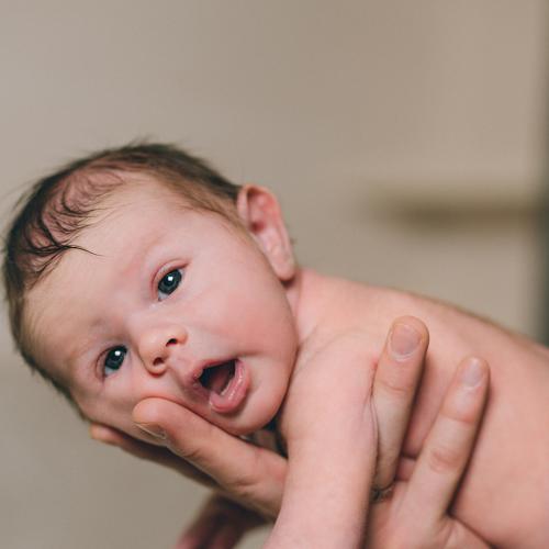 Photo #4139175