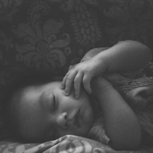 Photo #4139211