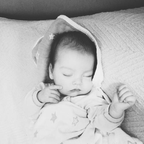 Photo #4139225