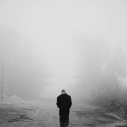 Photo #4139790