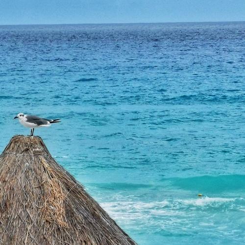 Photo #4140032