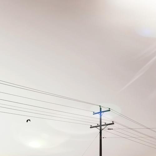 Photo #4140275