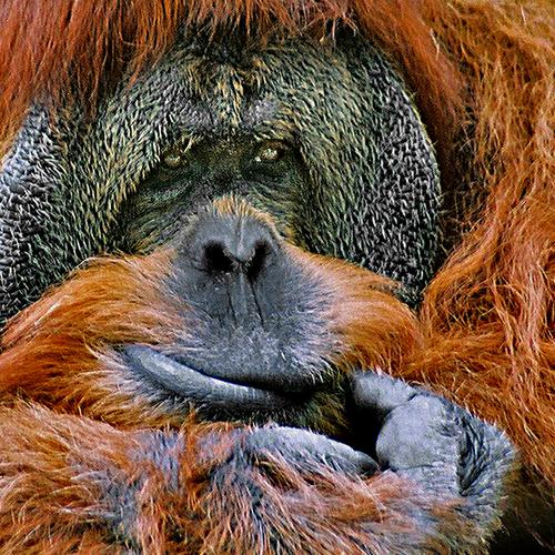 Photo #4140370