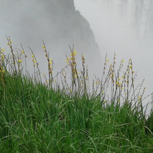 Photo #4140459