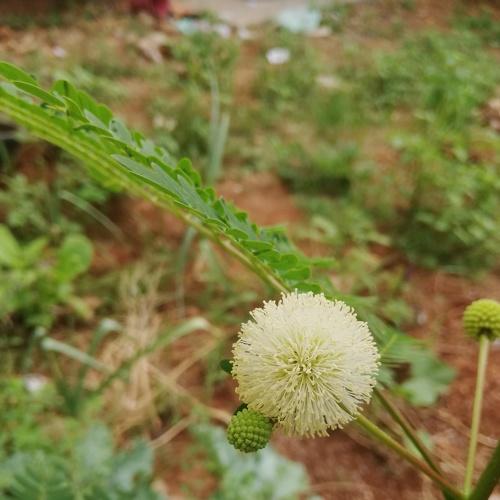 Photo #4140469