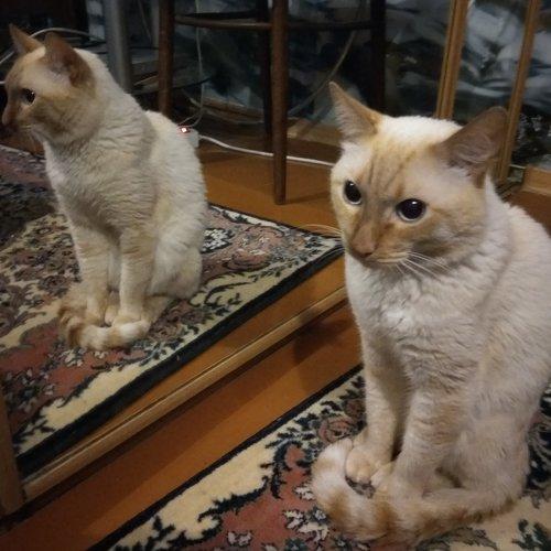 Photo #4140639