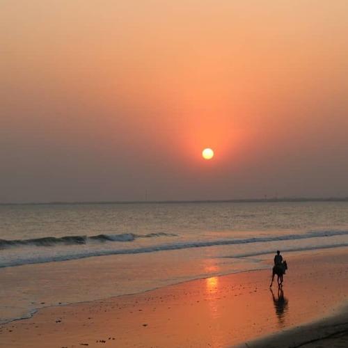 Photo #4140651
