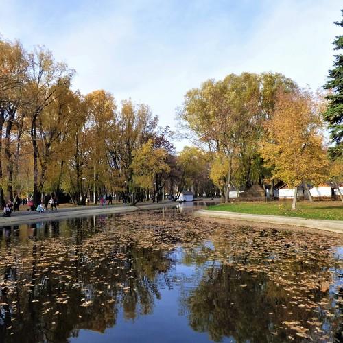 Photo #4140699
