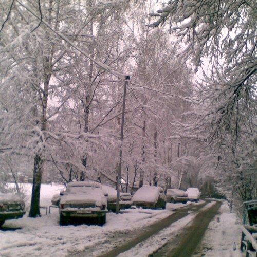 Photo #4140982