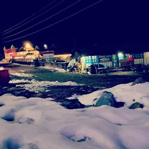 Photo #4141966