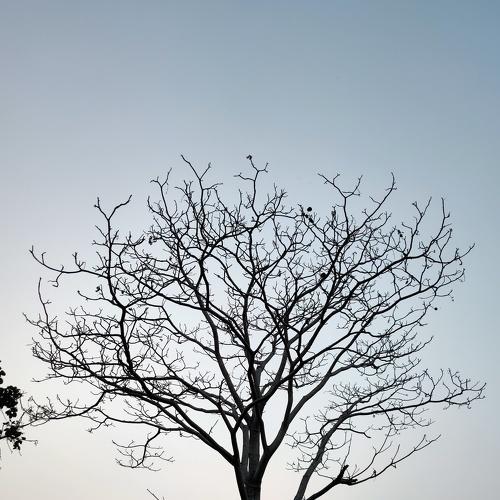 Photo #4141993