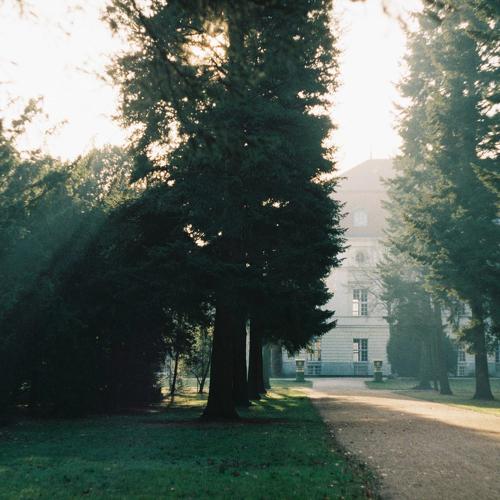 Photo #4142093