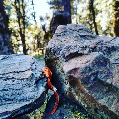 Photo #4142121