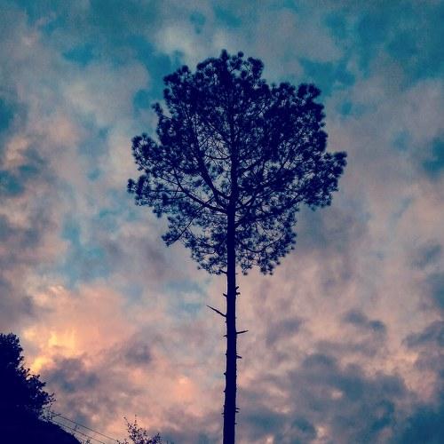 Photo #4142130