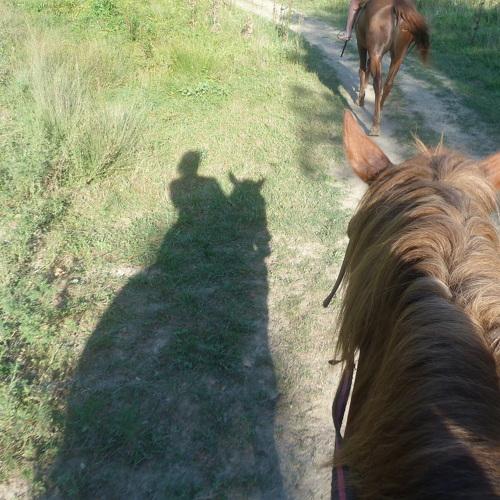 Photo #4142271