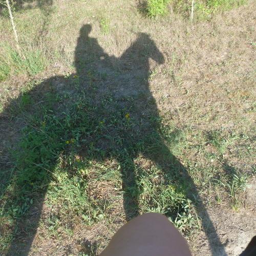 Photo #4142272