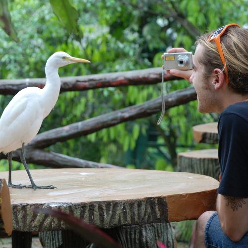 Photo #4142362