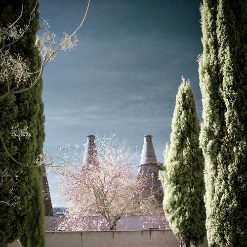 Photo #4142497