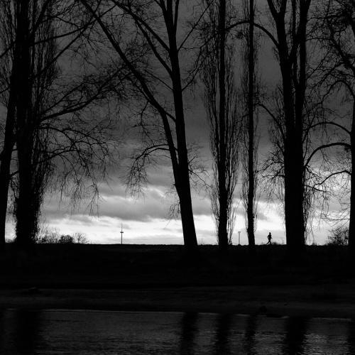 Photo #4142596
