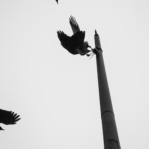 Photo #4143854