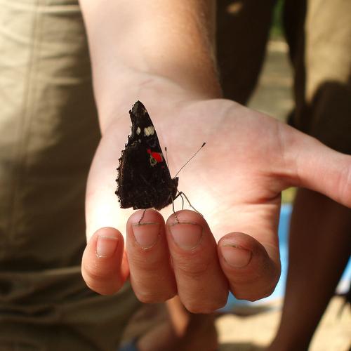 Photo #4144654