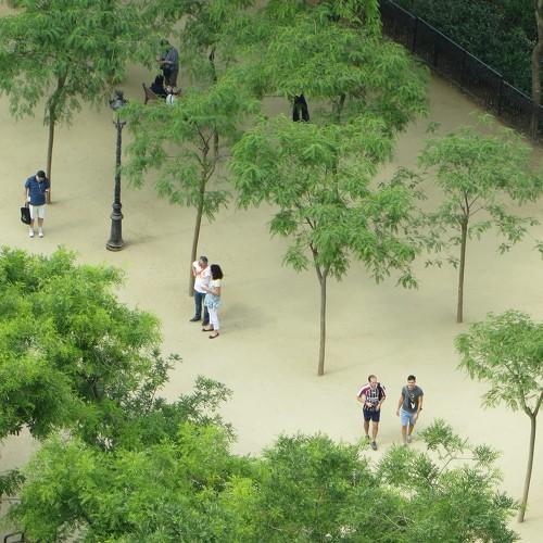 Photo #4144662
