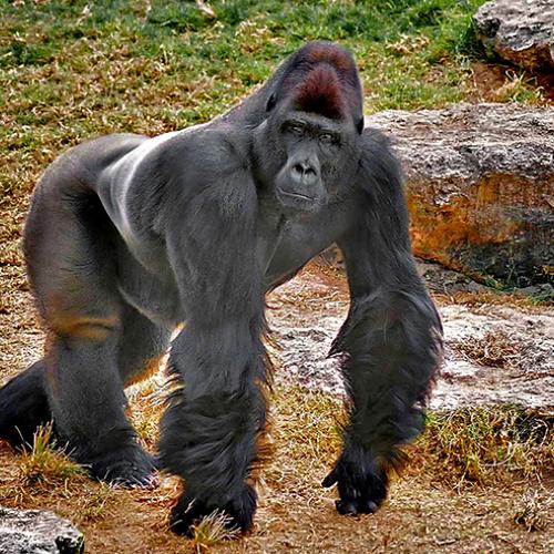 Photo #4144932
