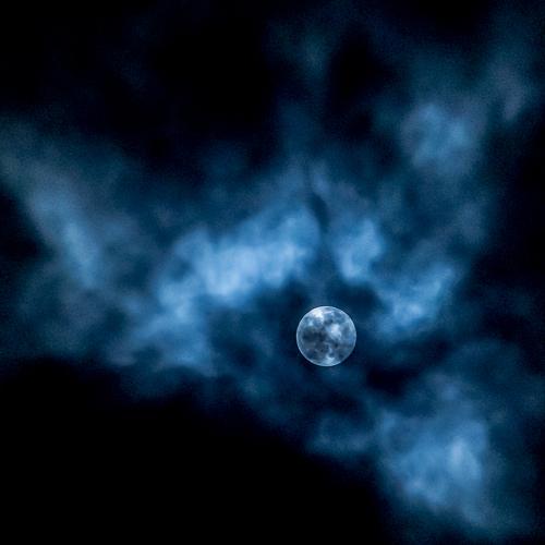 Photo #4145910