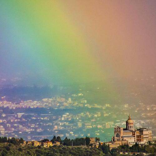Photo #4145926