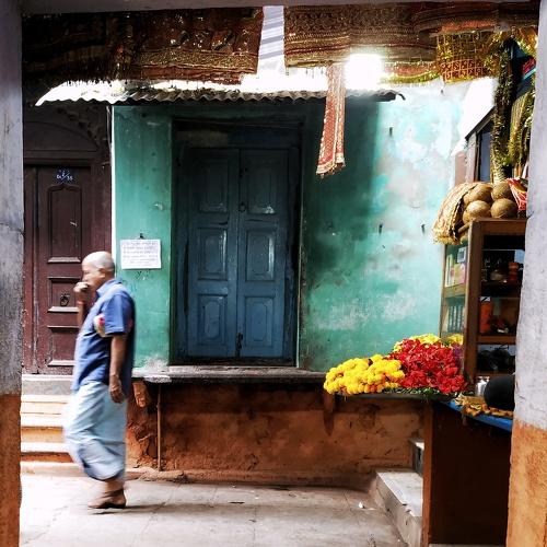 Photo #4146592