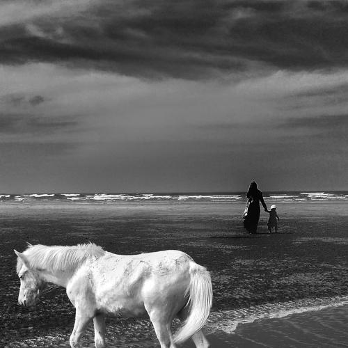 Photo #4146603