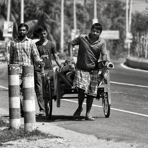 Photo #4146916