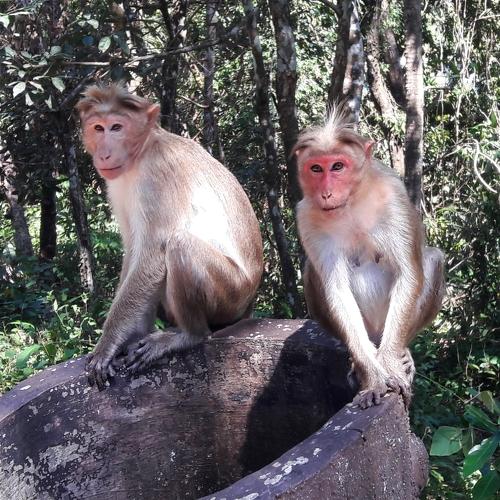 Photo #4147789