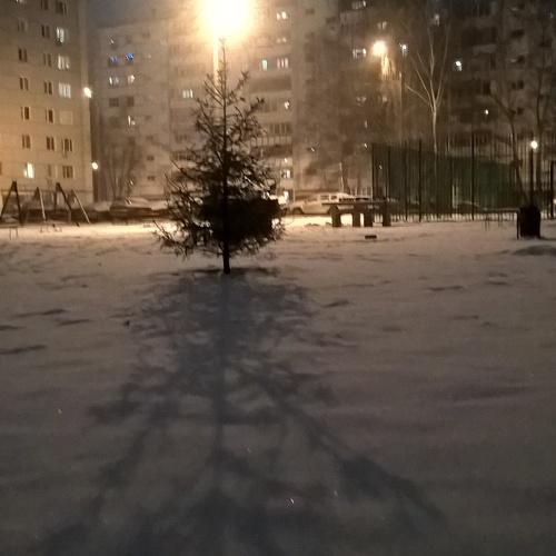 Photo #4148401