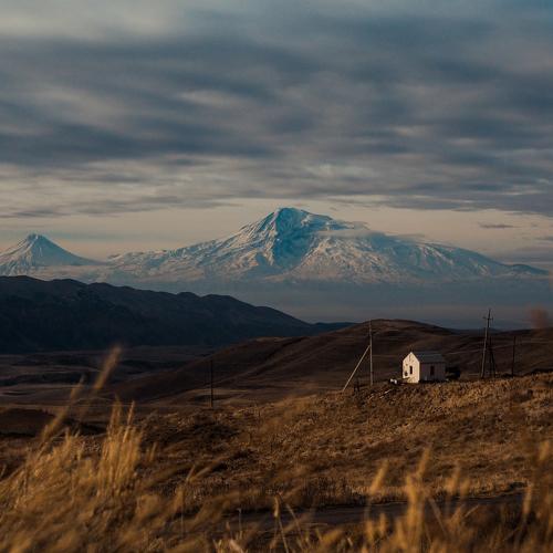 Арарат