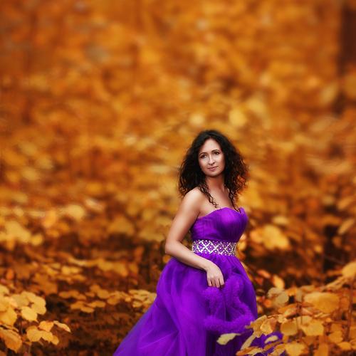 Photo #4148855