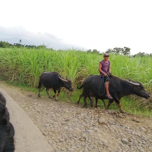 Farmers, the source of our life