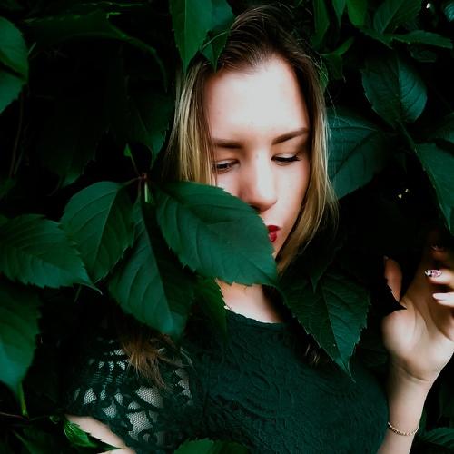Photo #4149541