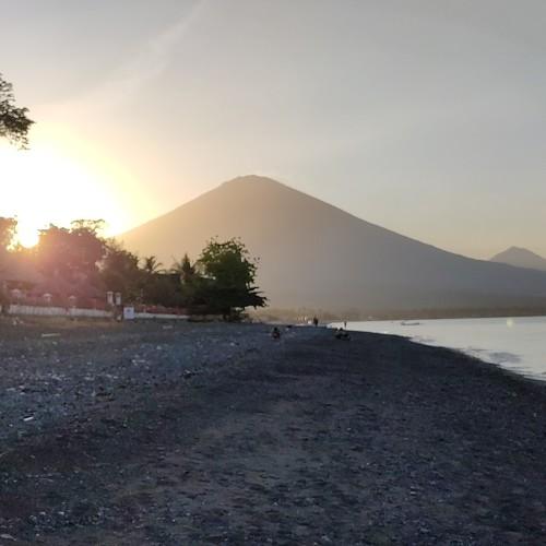 Photo #4149574