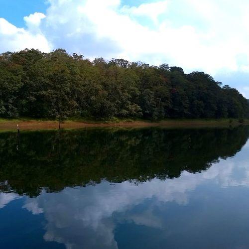 Reflections.