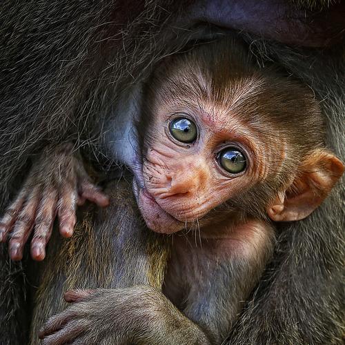 Photo #4150178