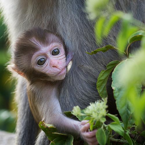 Photo #4150180