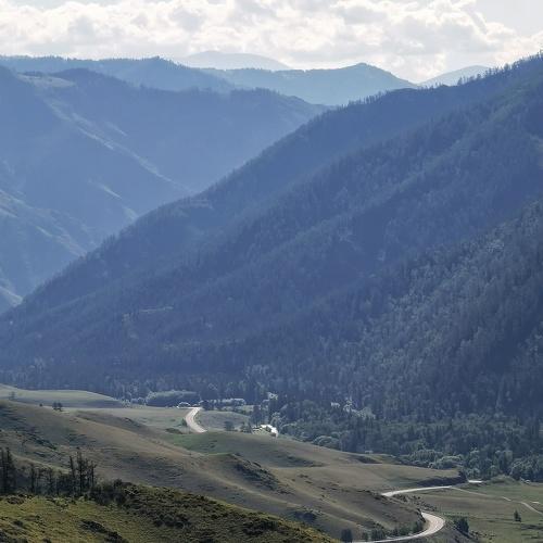 Photo #4150564