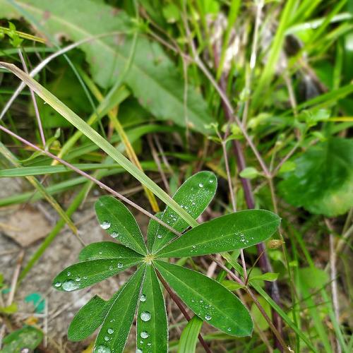 Photo #4151242