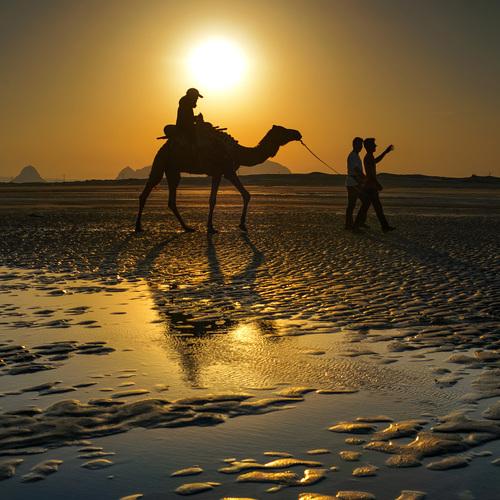 Passenger at sunset