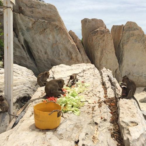 Photo #4151571