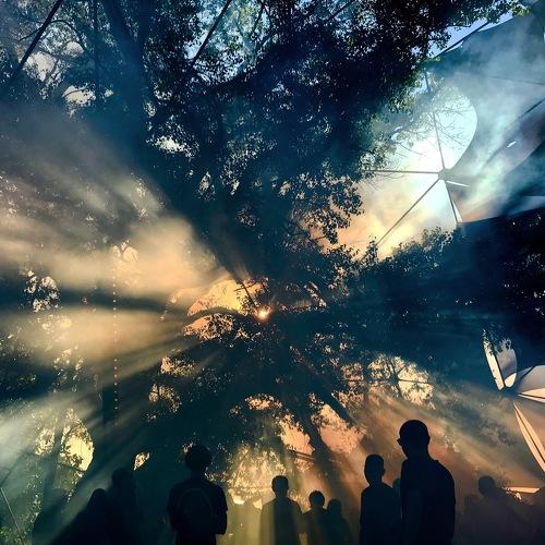 Photo #4151574