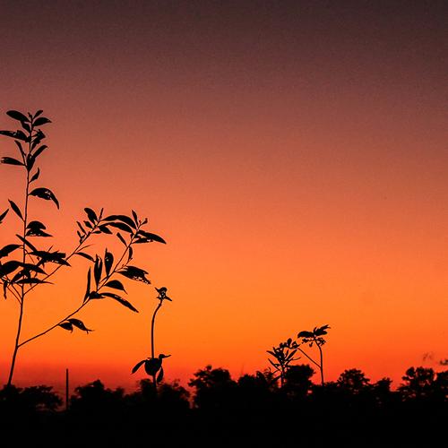 Beauty after sunset