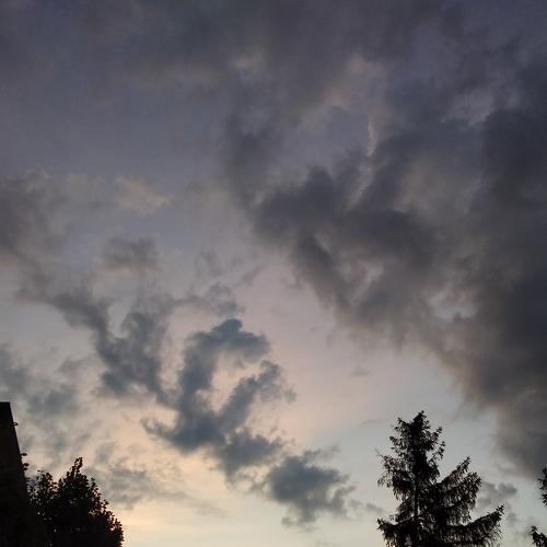 Photo #4152075